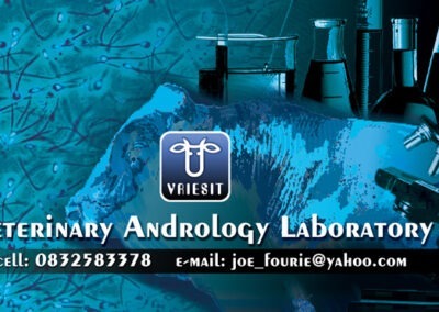 Corporate Identity - Vriesit, Emailer